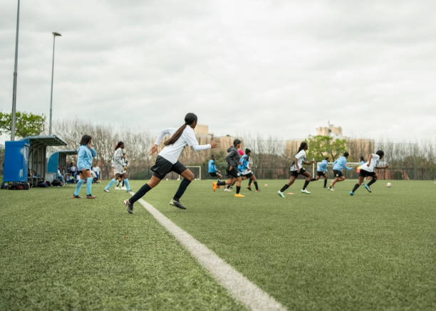 坎塞洛以他 坎塞洛以他