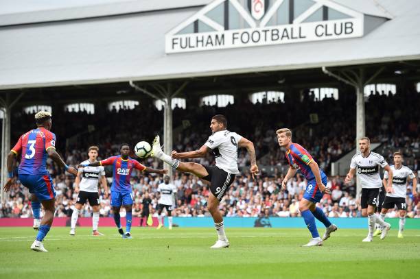 经验丰富的 经验丰富的