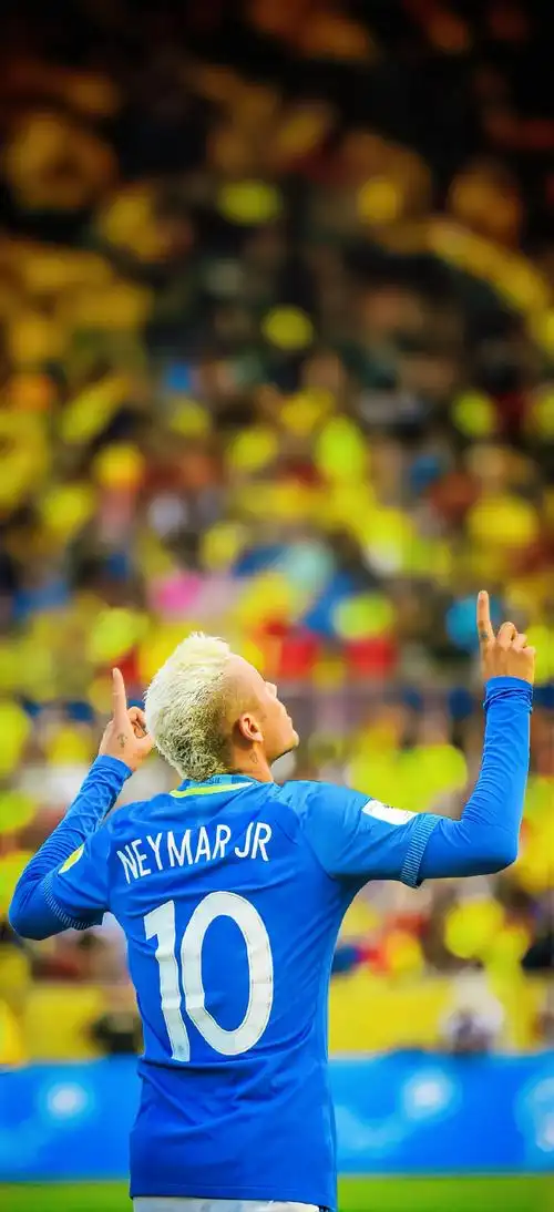 兼备的完美 兼备的完美