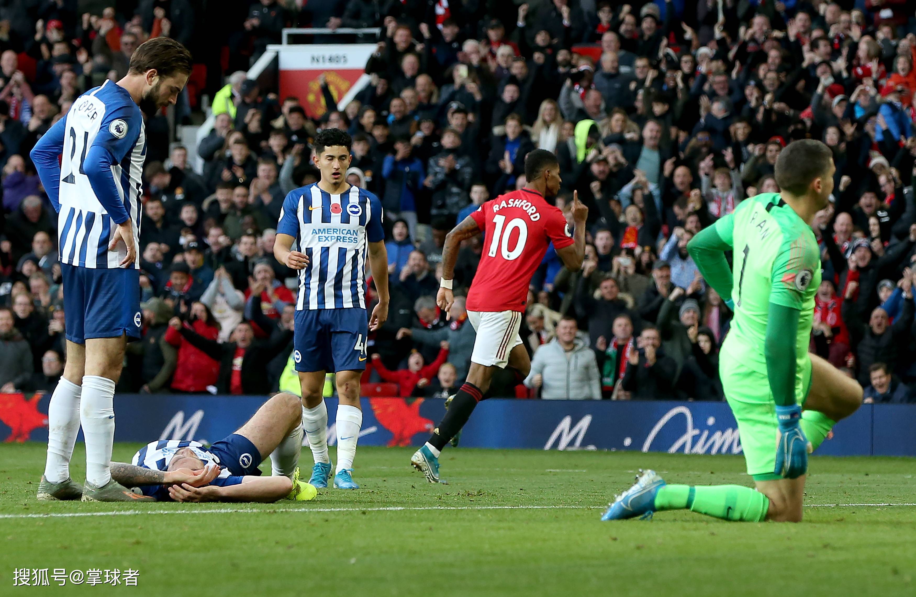 优化到专业 优化到专业